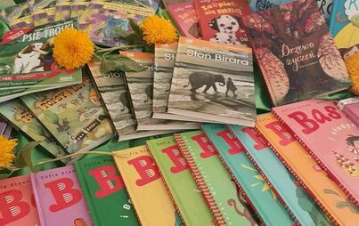 Zdjęcie do Nowe pozycje książkowe w naszej bibliotece