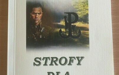 Zdjęcie do STROFY DLA "PONUREGO"