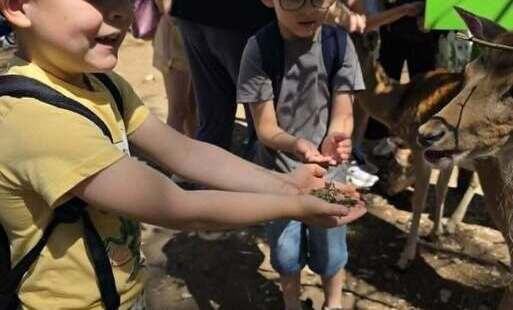 Zdjęcie do Wyjazd do zoo &bdquo;Leśne Zacisze&rdquo; w Lisowie.