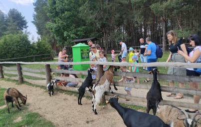 Zdjęcie do WYCIECZKA DO  ZOO w gr Od