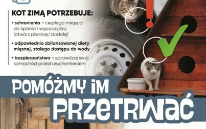 Zdjęcie do Tw&oacute;j pies świadczy o Tobie!
