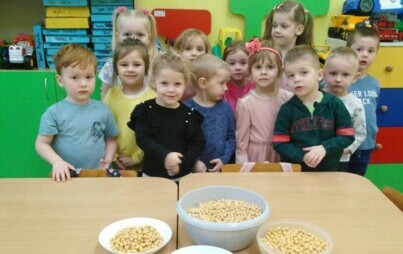 Zdjęcie do Freblowska konstrukcja w Przedszkolu w Radkowicach