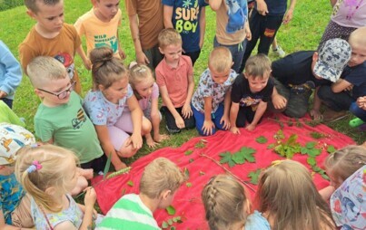 Zdjęcie do Dzień pustej klasy &ndash; piknik grup 0a i 0b